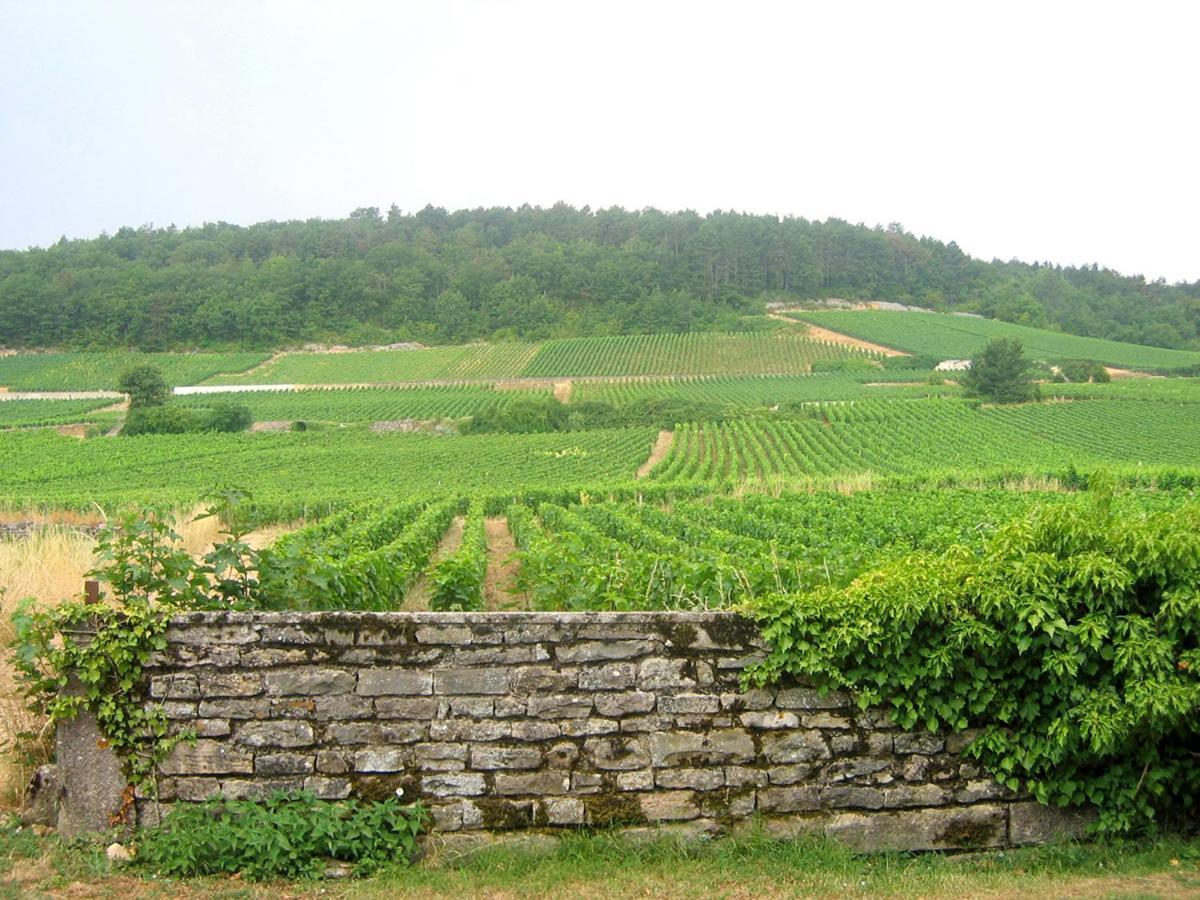Le Richebourg - Charmant T2 Cosy, Tout Confort Gevrey-Chambertin Luaran gambar